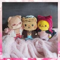 ราคา ✅️ พร้อมส่ง ตุ๊กตาวันพีซ โคราซอน & โดฟลา & ลอว์ One Piece Corazon - Doflamingo - Law With Cat Plush Mascot Doll (2986082888)