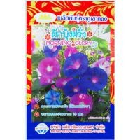 ราคา เมล็ดดอกผักบุ้งฝรั่ง MORNING GLORY MT/FW-10 เมล็ดพันธุ์ดอกผักบุ้งฝรั่ง เมล็ดดอกไม้ ตราภูเขาทอง (23255814523)