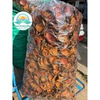 ราคา มะตูมแห้ง มะตูมทำน้ำมะตูม กลิ่นหอม สีสวย แห้งสนิทเก็บได้นาน มะตูมแห้งขนาด 500 กรัม (29809367478)