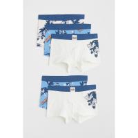 ราคา H&M(เอชแอนด์เอ็ม) ชุดกางเกงในทรงบรีฟ 5 ชิ้น เด็กผู้ชาย 1010215_10 (25545188498)