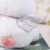 ราคา ตุ๊กตากระต่ายนางฟ้าสีขาวขนฟูนุ่มพิเศษขนาด ☢ 30/45 ซม. หูยาว ของเล่นสัตว์ตุ๊กตากระต่าย ตกแต่งห้อ (43204103549)