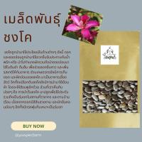 ราคา เมล็ดพันธุ์ชงโค(ผักเสี้ยว)25/50/100เมล็ด (24472013090)