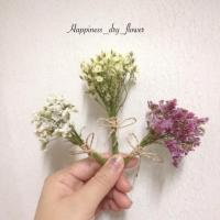 ราคา ช่อจิ๋วดอกสุ่ย ช่อจิ๋วดอกไม้แห้งสุ่ย (158226668)