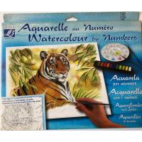 ราคา สีน้ําตามตัวเลข 30x40 Tiger Made in England (54204214310)