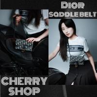 ราคา ดิออร์ Dior SADDLE BELT POUCH กระเป๋าคาดเอวผู้หญิง กระเป๋าแมสเซนเจอร์ (28221666949)