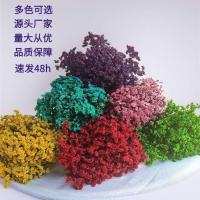 ราคา ช่อดอกไม้แห้ง ช่อดอกไม้ขนาดใหญ่ ดอกไม้หญ้าคริสตัล ดอกไม้จริง ดอกไม้ที่เก็บรักษาไว้ ตกแต่งตากแห้ง ตกแต่งนูน ตกแต่ง (45650900146)