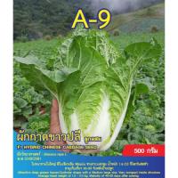 ราคา เมล็ดพันธุ์ ผักกาดขาวปลีเบาA9 (ถุงใหญ่) (45404388289)