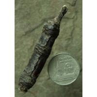 ราคา ตะกรุดหนังหน้าผากเสือ ถัก 3 ปล้อง ลงรัก เก่ามีอายุมากกว่า 80 ปี (24479803912)