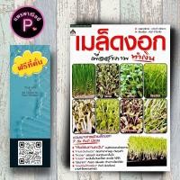 ราคา หนังสือ ราคา 155 บาท เมล็ดงอก เพื่อสุขภาพทำเงิน : พืชและการเกษตร การปลูกพืช เมล็ดพันธุ์ผัก พืชเศรษฐกิจ เมล็ดพันธุ์ (26655253112)