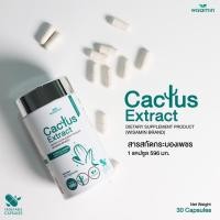ราคา CACTUS EXTRACT สารสกัดกระบองเพชร (ตราวิษามิน) บรรจุแคปซูล 500 mg. VAGAN จำนวน 1 กระปุก 30 แคปซูล (27602153745)