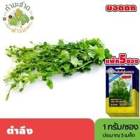 ราคา [แพ็ค 5 ซอง] 3A เมล็ดพันธุ์ ตำลึง ขนาดซองละ1กรัม ประมาณ5เมล็ด/ซอง IVY GOURD ยอดตำลึง เมล็ดพันธุ์พืช เมล็ดผัก ปลูกผักสวน (3437767409)