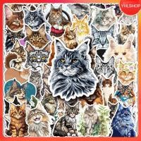 ราคา ส่งจากไทย 50ชิ้น สติกเกอร์แมวเมนคูน Maine Coon Cat Sitcker DIY กันน้ำ (43265424265)