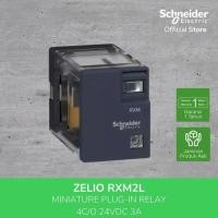 ราคา Schneider Electric Zelio Rxm4L Plug In Relay 24Vdc 3A Rxm4Lb1Bd ราคาพิเศษ! (56402194176)