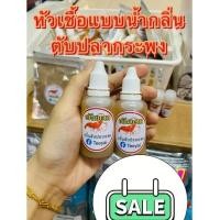ราคา หัวเชื้อตกกุ้งแม่น้ำ ตกกุ้งบ่อ ตกกุ้งก้ามกราม แดกยับ & ตับแตก (9745309210)