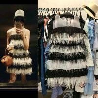 ราคา Size: S ดรสสั้นขนนกงานป้าย. (4855977911)