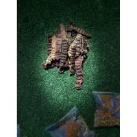 ราคา ส้มป่อย ส้มป่อยเดือน5 ส้มป่อยคัด (26529918528)