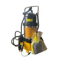 ราคา ไดโว่ดูดเลน ปั้มดูดขี้เลน ไดโว่ดูดขี้เลนพร้อมลูกลอย (28555280090)