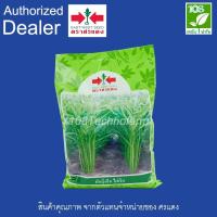 ราคา เมล็ดพันธุ์ ผักบุ้งจีน ไผ่เงิน ตราศรแดง ขนาด 1 กิโลกรัม (6347640908)