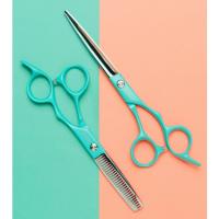 ราคา BARBER BRAIN Tiffany Blue Scissors กรรไกรตัดผมบาร์เบอร์ 6.5" รุ่น VAL-73 , VAL-74 (27309637747)