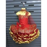 ราคา ชุดดรัมเมเยอร์ สไบเด้ง ชุดดรัมเมเยอร์เด็ก ชุดเชียร์ลีดเดอร์เด็ก (2495673053)