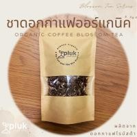 ราคา ชาดอกกาแฟ โรบัสต้า ออร์แกนิค Organic Coffee Blossom Tea (19671630861)