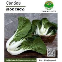 ราคา เมล็ดพันธุ์ผักสวนครัว บ๊อกฉ่อย ( ขนาด 0.5 กรัม ) รหัสสินค้า 6040 (22189718561)