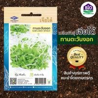 ราคา เมล็ดพันธ์ุผักเจียไต๋ เมล็ดผักงอก ทานตะวันงอก ,ต้นอ่อนข้าวสาลี ,ไควาเระ01 (23237632474)