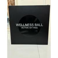 ราคา (มือ1 พร้อมส่งด่วน!! แท้) ลูกบอลนั่งทำงาน นั่งออกกำลังกาย Technogym Wellness Ball - Active Sitting (27611078249)