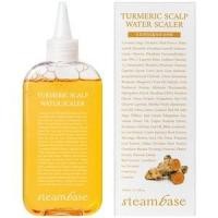 ราคา [SteamBase Official] Turmeric Cooling Scalp Water Scaler 250ml – Fresh Daily Pre-Shampoo Scalp Cleanser for Oil & Hairline Care (50802036643)