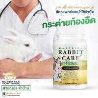 ราคา RANDOLPH RABBIT CARE อาหารเสริมพลังงานกระต่ายป่วย สูตร Original 70 กรัม (1903880925)