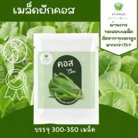 ราคา เมล็ดผักสลัด คอส กรีนคอส (21387609013)