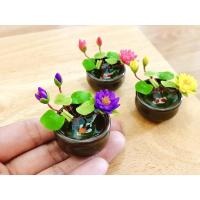 ราคา กระถางบัวสาย&ปลาคร๊าฟจิ๋ว เสริมฮวงจุ้ย มีบัวให้เลือก 6 สี (15251469081)