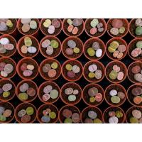 ราคา Lithops ไลทอป ลิทอป หินมีชีวิตไม้เพาะเมล็ด ส่งทั้งกระถาง SP1to20 (3990185030)