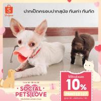 ราคา พร้อมส่ง!! PAWLY PETปากเป็ด (ที่ครอบปากสุนัข กันเลีย กันเห่า กันกัด) (6123842671)