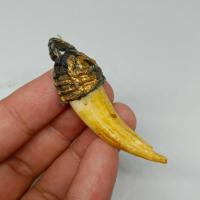 ราคา เขี้ยวหมูตัน หลวงพ่อกวย วัดบ้านแค สุดยอดแห่งเครื่องรางพกพาติดตัวป้องกันอันตรายป้องกันภูตผีปีศาจสิ่งไม่ดี (29366068064)