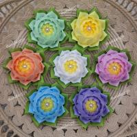 ราคา เหรียญโปรยทาน ดอกบัวดาว(ตัวเปล่า)ยังไม่ใส่เหรียญ #เหรียญโปรยทานงานบุญ/งานบวช (24914059371)