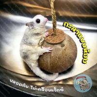 ราคา V ( บ้านกะลาห้อย ) บ้านกะลา กะลา บ้านกะลาชูก้า กะลาชูก้า ชูการ์ นก สัตว์เลี้ยง สัตว์เล็ก กระรอก กระแต (3067233809)