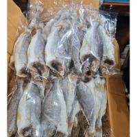 ราคา พร้อมส่ง**ปลาจวดเค็ม 500กรัม ปลาจวด ปลาจวดแดดเดียว ปลาจวดตากแห้ง อาหาร ของฝาก ราคาถูก (42608251792)