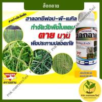 ราคา ฮ็อกอาย ตราฉลาม 500ซีซี สารกำจัดวัชพืช (PSK เกษตรออนไลน์) (13854998240)