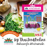 ราคา Advance Seeds(ตราตะวันต้นกล้า) ADVOP ซฟ เมล็ดพันธุ์ มะเขือไข่เต่าม่วงรี ชมพูนุช ตราตะวันต้นกล้า V63 (23853302193)