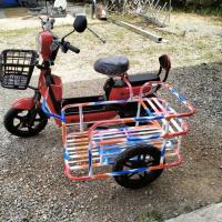 ราคา พ่วงข้างจักรยานไฟฟ้าและจักรยานผู้ใหญ่ (23040560468)