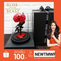 ราคา กุหลาบในโหลแก้ว ดอกกุหลาบ Preserved Rose (931217302)