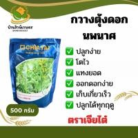 ราคา กวางตุ้งดอก นพมาศ ตราเจียไต๋ ขนาด 500 กรัม (44352181788)