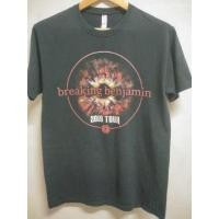 ราคา เสื้อทัวร์ breaking Benjamin 2019 TOUR เสื้อยืดมือสอง size M (28860753422)