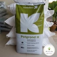 ราคา Peat moss พีทมอส คลาสแมน (6552691184)