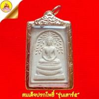 ราคา สมเด็จปรกโพธิ์ หลวงพ่อเปิ่น "รุ่นเสาร์๕" หลังหน้าเสือ เนื้อผงพุทธคุณ ปี2536 วัดบางพระ จ.นครปฐม (20994900740)