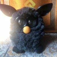 ราคา เฟอร์บี้รุ่นคลาสสิค สีดำเฉาก๊วย ลิมิเตด (3914298907)