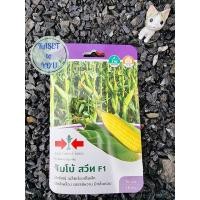 ราคา ศรแดง จัมโบ้สวีท F1 เมล็ดพันธุ์ข้าวโพด เมล็ดพันธุ์ ผักสวนครัว ข้าวโพf (11927259688)