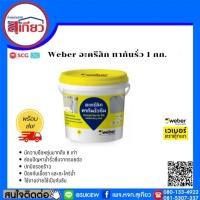 ราคา Weber อะครีลิก ทากันรั่ว 1 กก. (3478682660)