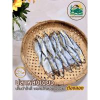 ราคา ปลาหลังเขียว ปลาตะหมัน ปลอดสารพิษ (ปลาหลังเขียวเค็ม ปลาเค็ม คัดพิเศษ) (40650547179)